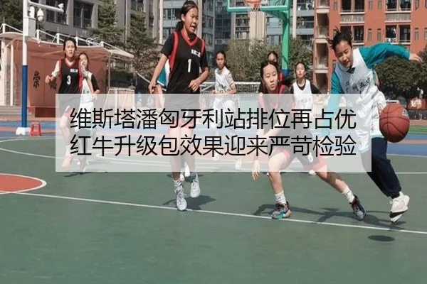 维斯塔潘匈牙利站排位再占优 红牛升级包效果迎来严苛检验